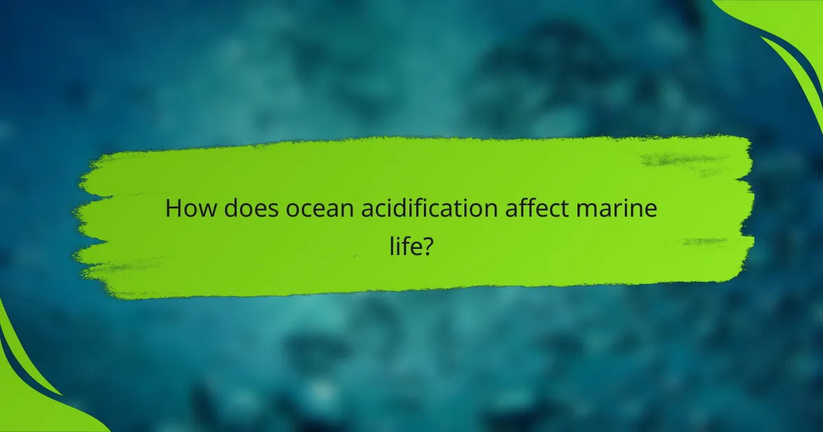 How does ocean acidification affect marine life?