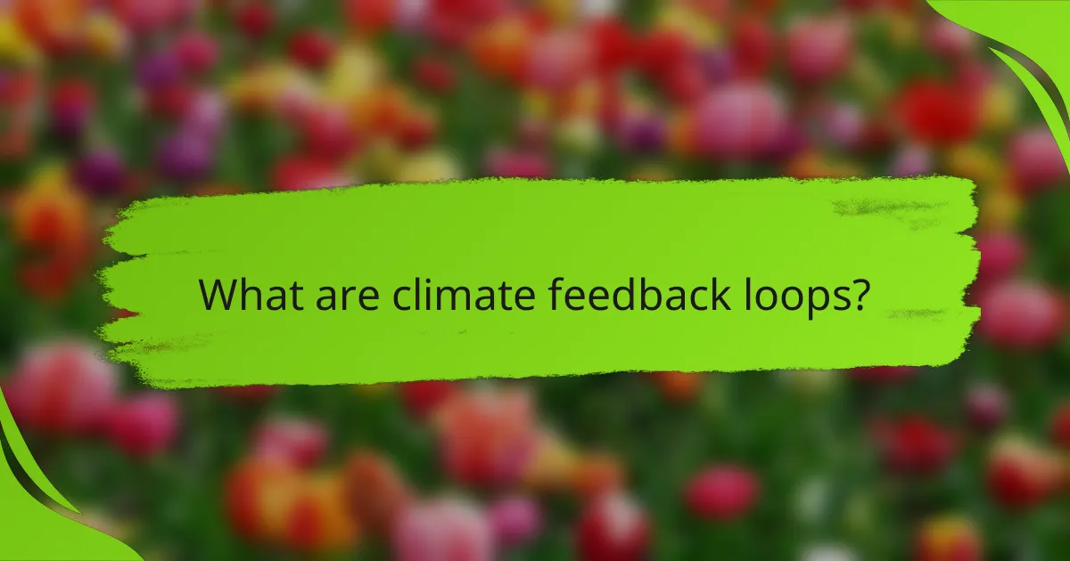 What are climate feedback loops?