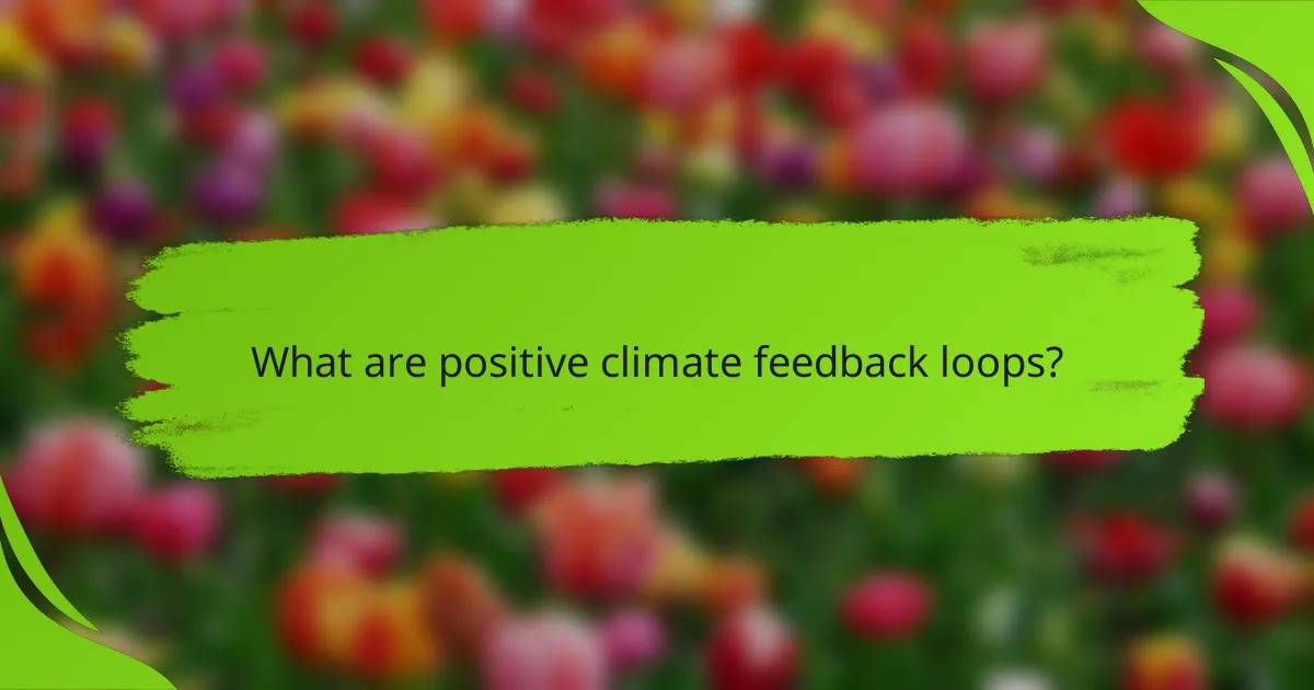 What are positive climate feedback loops?