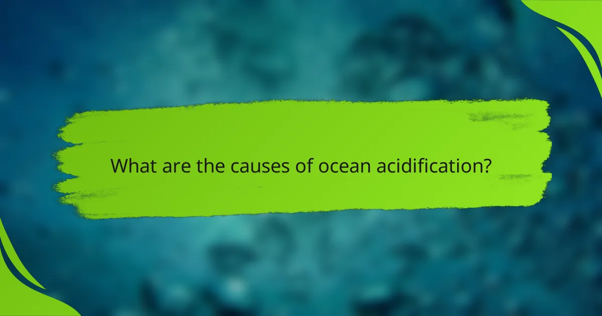 What are the causes of ocean acidification?