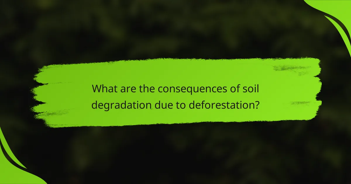 What are the consequences of soil degradation due to deforestation?