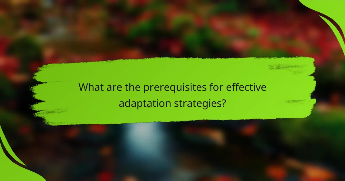 What are the prerequisites for effective adaptation strategies?