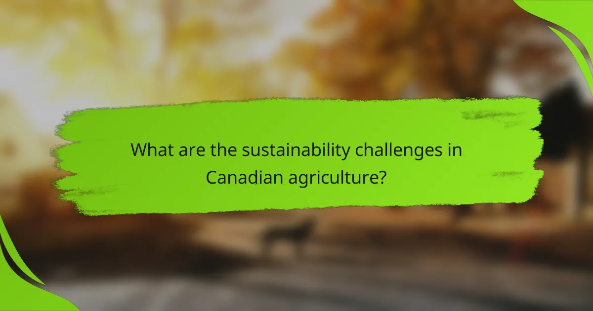 What are the sustainability challenges in Canadian agriculture?